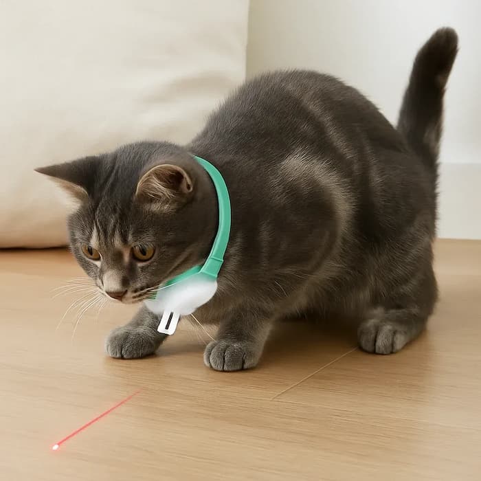 Automatisches Laser-Spielhalsband für Katzen – Aktiv Auch Ohne Aufsicht product image 1