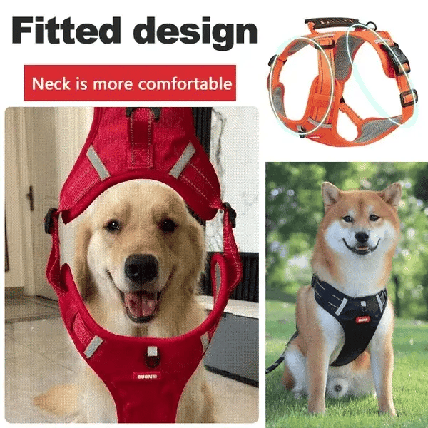 50% Rabatt | DogGrip™ - Führen Sie Ihren Hund sicher spazieren