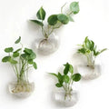 Glas Wandvase Minimalistischer Pflanzenhalter Für Dekor product image 1