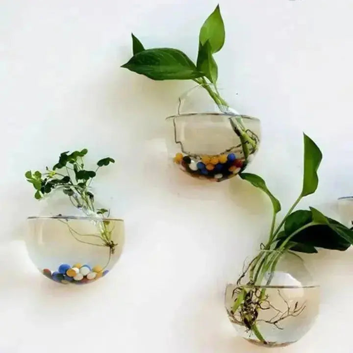 Glas Wandvase Minimalistischer Pflanzenhalter Für Dekor product image 2