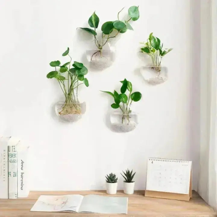 Glas Wandvase Minimalistischer Pflanzenhalter Für Dekor product image 8