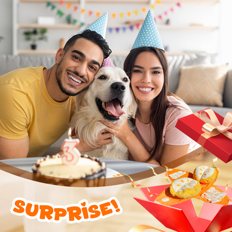 Interaktives Plüsch-Hundespielzeug mit Quietscher – Versteck-Puzzle für Leckerchen product image 9