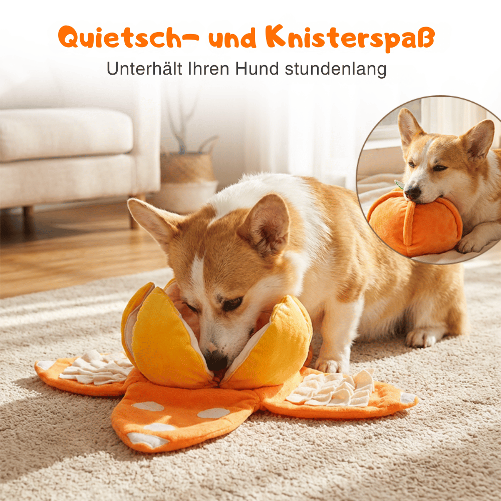 Interaktives Plüsch-Hundespielzeug mit Quietscher – Versteck-Puzzle für Leckerchen product image 4