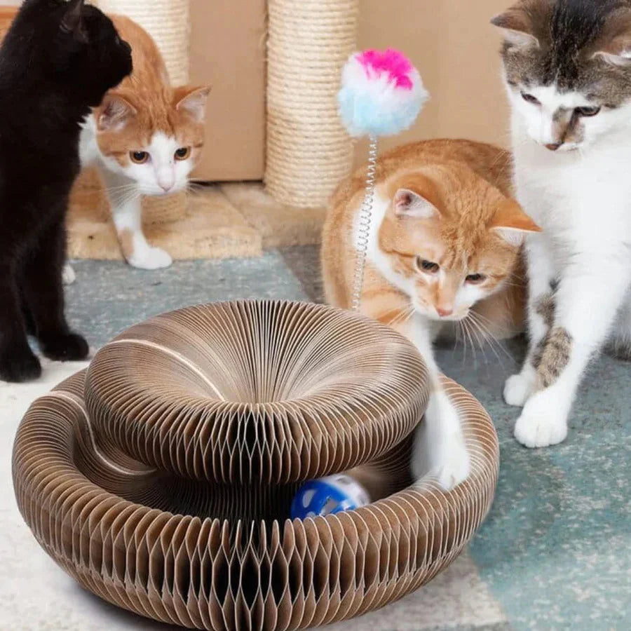 PetStory™ Innofative Katzenspielzeug | 1 + 1 Gratis