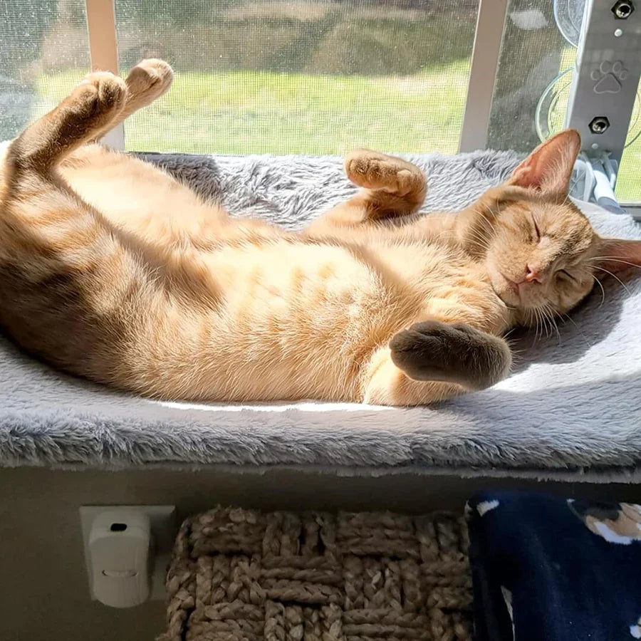 50% Rabatt | WindowSeat™ Supreme Katzen-Hängematte