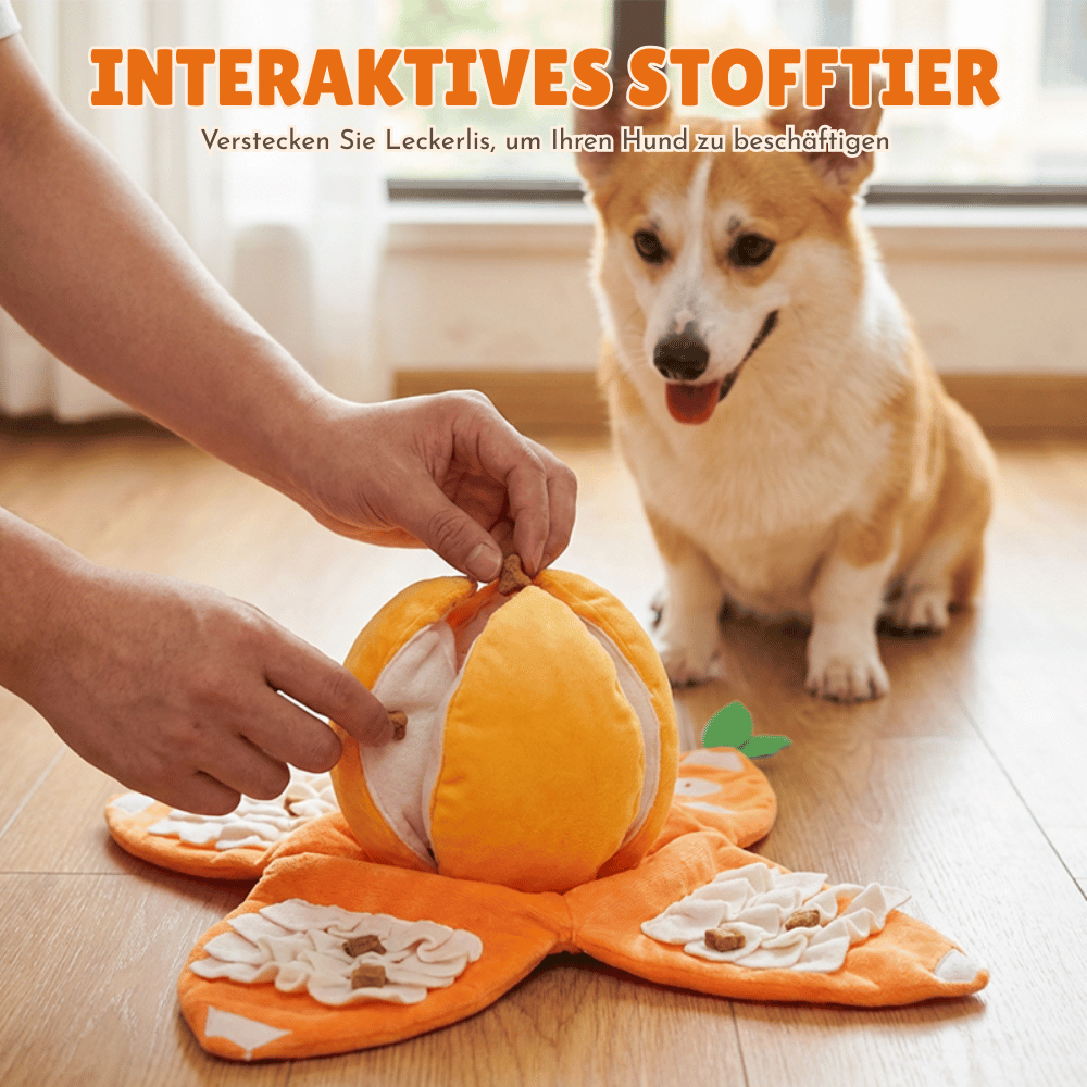 Interaktives Plüsch-Hundespielzeug mit Quietscher – Versteck-Puzzle für Leckerchen product image 5