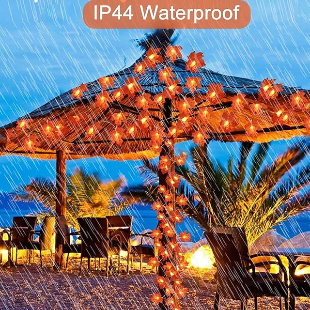 AutumnLed™ – Warmweißes Licht, USB- & batteriebetrieben, perfekte Herbstdeko für Innen & Außen [50% Rabatt]