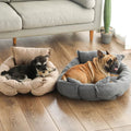 French Bulldog and puppy resting in 3-in-1 Haustierbett sofa configuration
