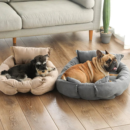 French Bulldog and puppy resting in 3-in-1 Haustierbett sofa configuration