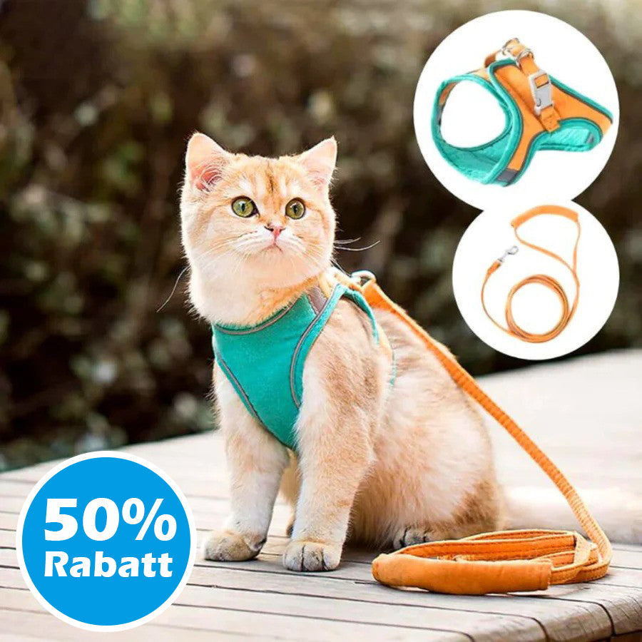 50% Rabatt | CatHarnes™ Komfortables Katzengeschirr [Letzter Tag Rabatt]