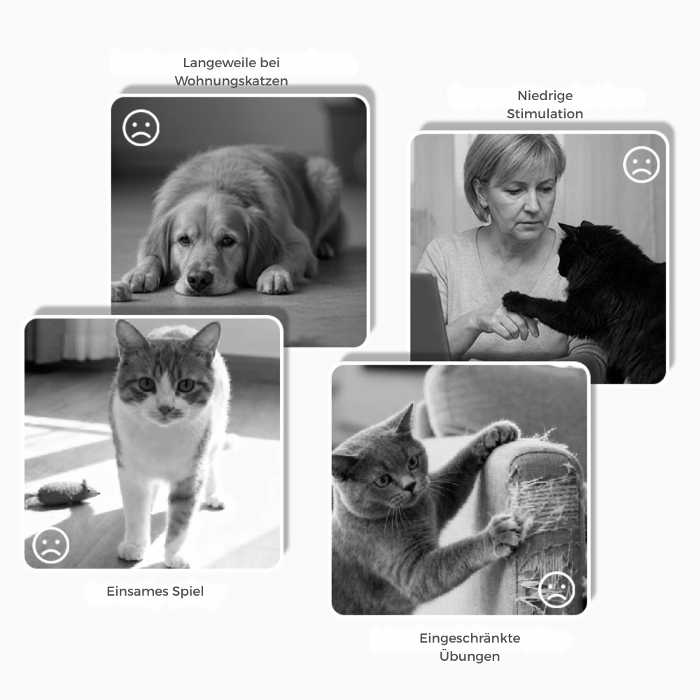 Interaktives Plüsch-Hundespielzeug mit Quietscher – Versteck-Puzzle für Leckerchen product image 6