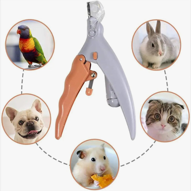 Tierkrallen-Schere mit LED-Licht – Auswechselbare Edelstahlklinge product image 1