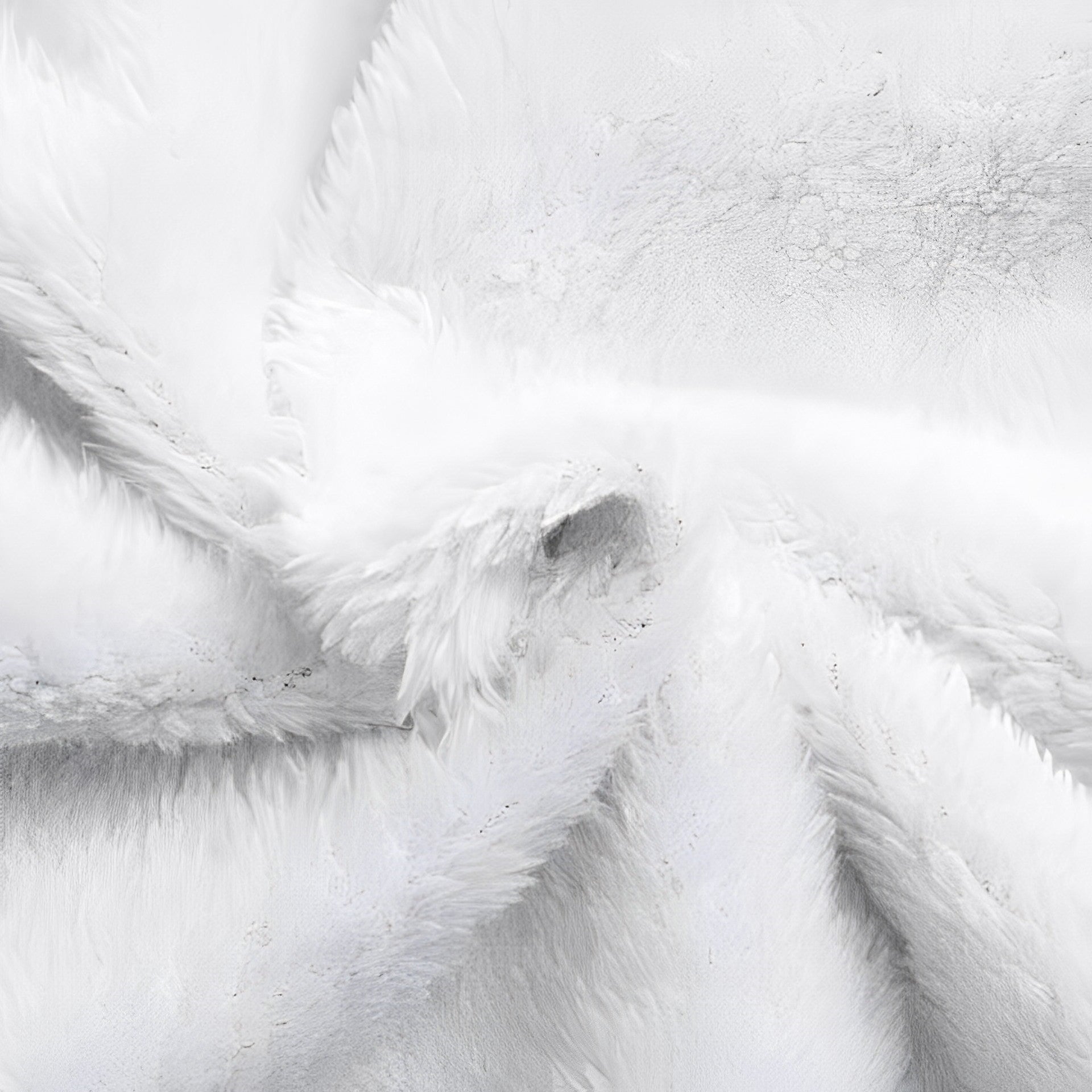 Vanessa | Mackintosh mit Fleece-Futter