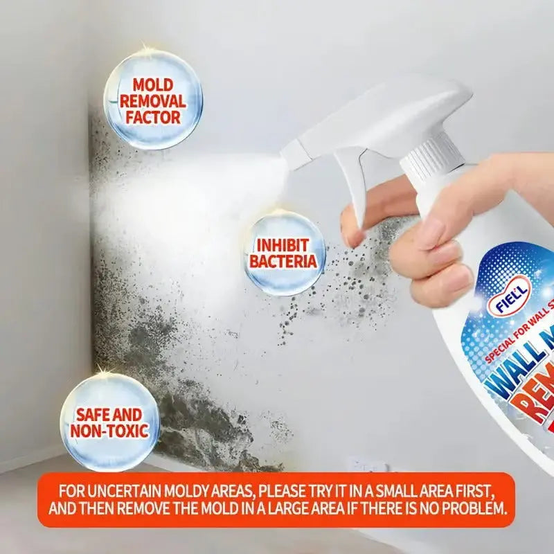 Anti-Schimmel Spray application demonstrating mold removal factor and bacteria inhibition