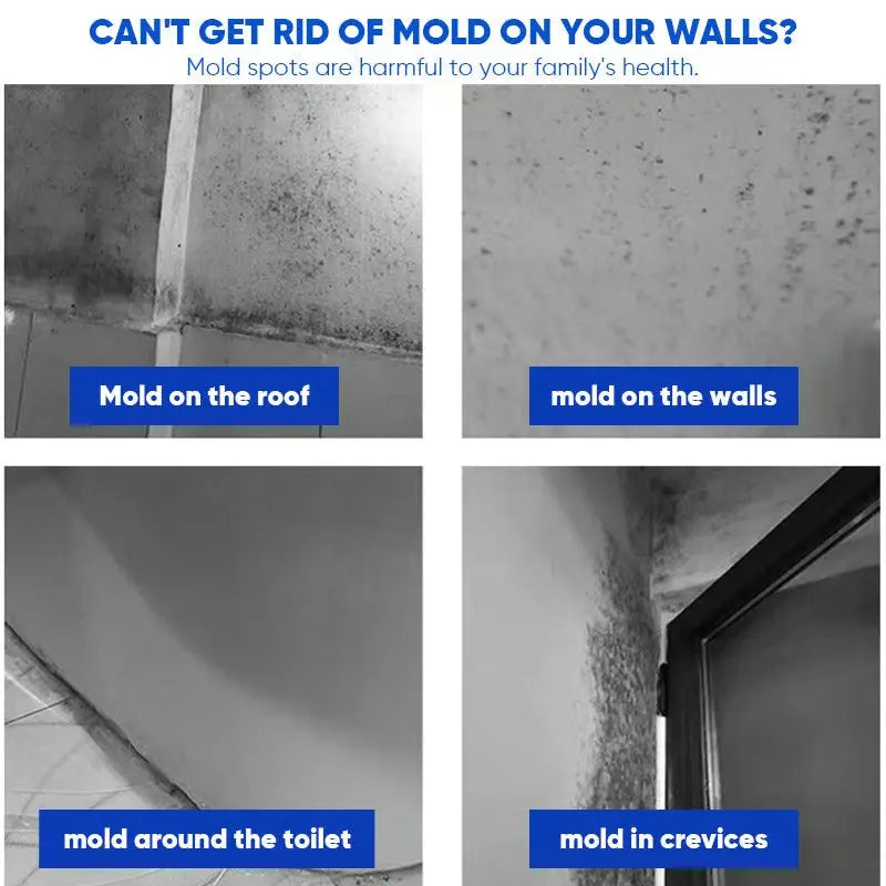 Mold problems on walls, roof, toilet and crevices infographic