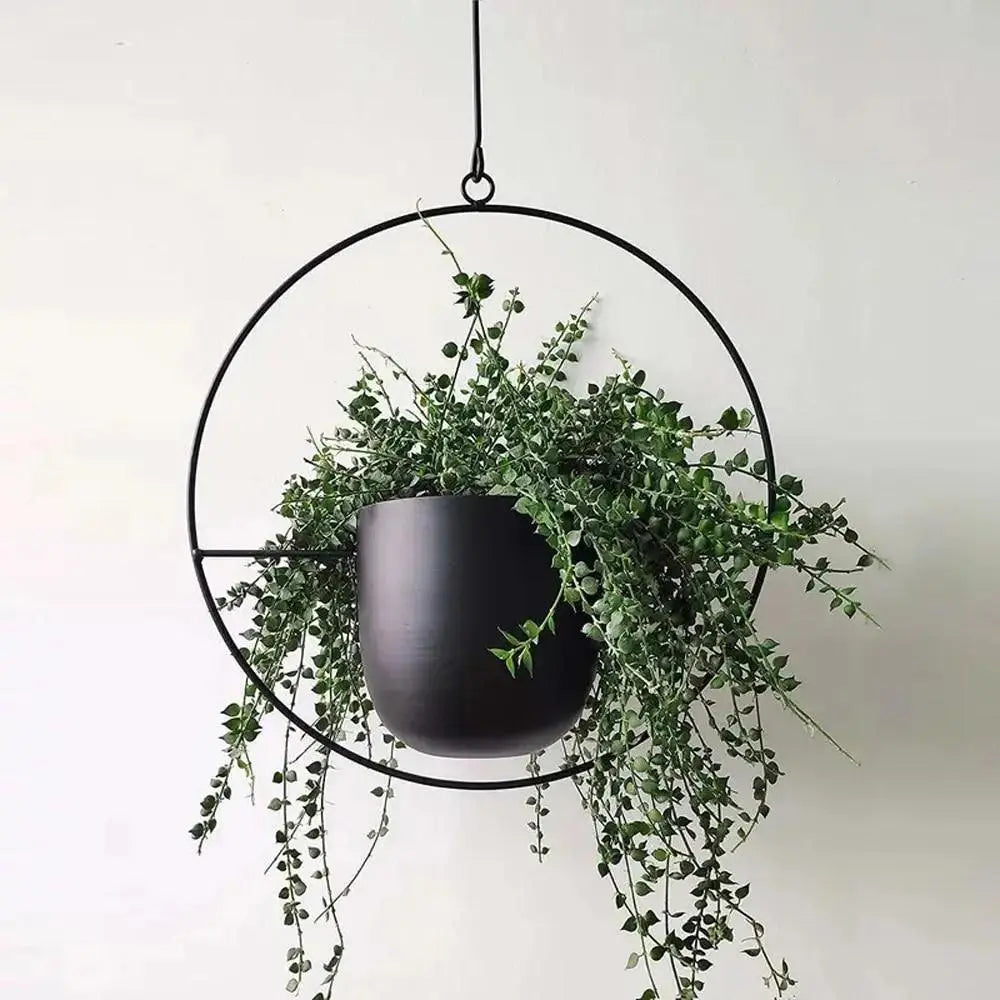 Hängepflanzgefäß aus Metall mit Kette – Ovaler oder Runder Rahmen product image 1
