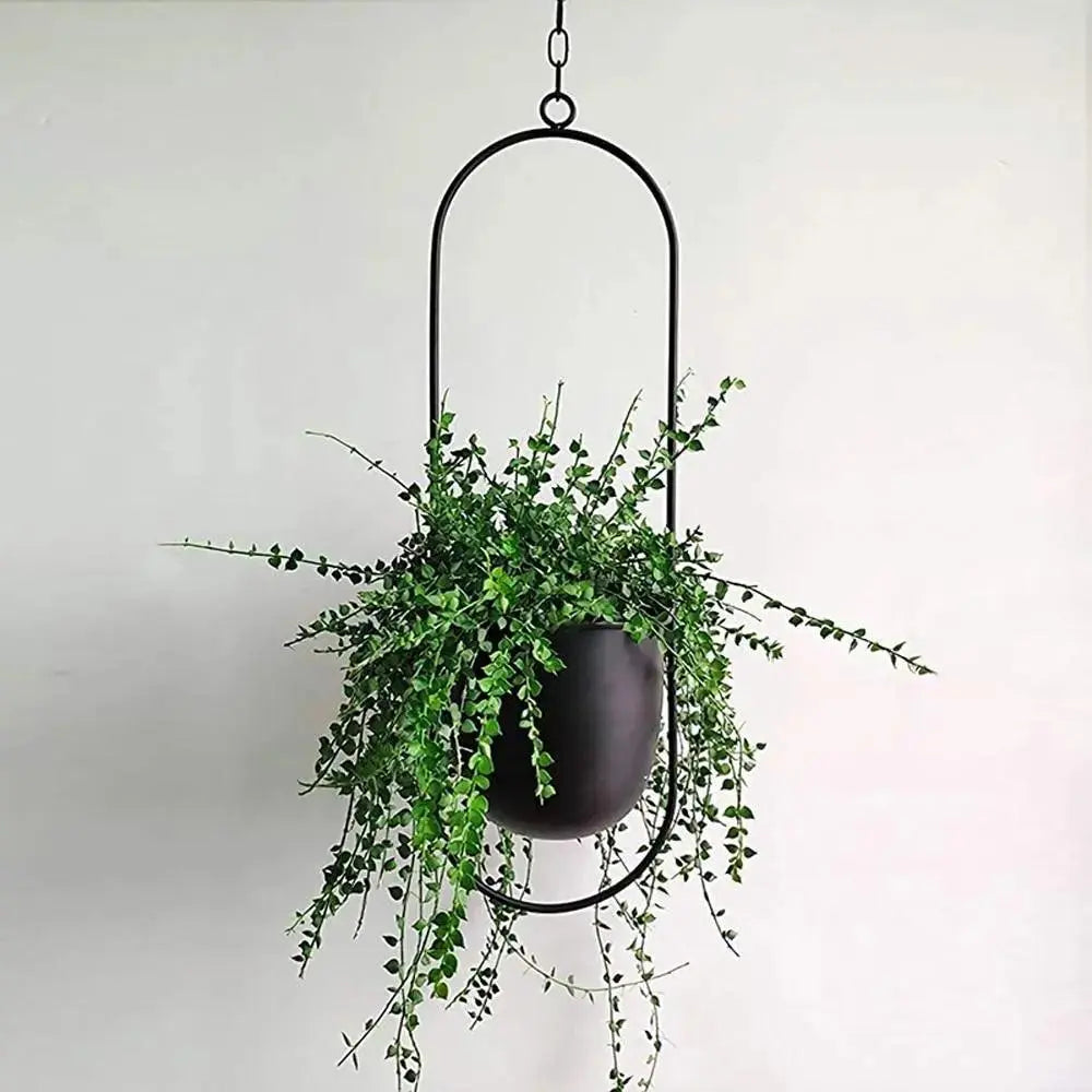 Hängepflanzgefäß aus Metall mit Kette – Ovaler oder Runder Rahmen product image 4