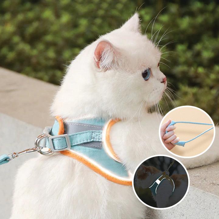 Katzengeschirr mit Leine – Komfortabler Sitz mit reflektierenden Sicherheitsstreifen product image 1