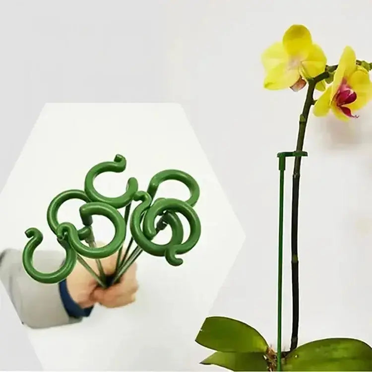 Pflanzenstütze Für Stabilen Wuchs Und Halt product image 2