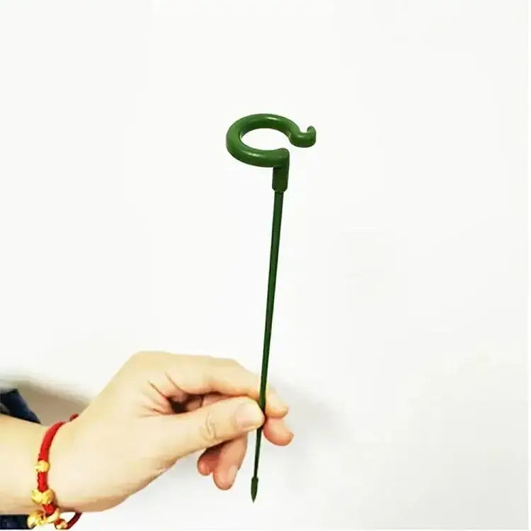 Pflanzenstütze Für Stabilen Wuchs Und Halt product image 6