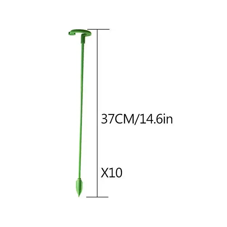 Pflanzenstütze Für Stabilen Wuchs Und Halt product image 7