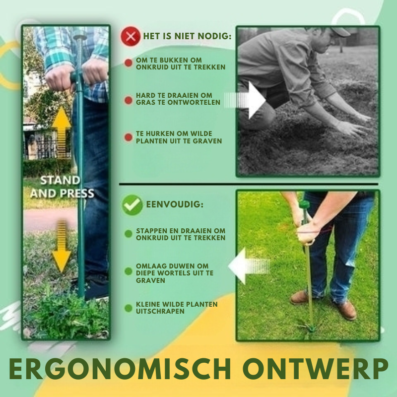 RootVanish™ – Permanenter Wurzelentferner gegen unerwünschte Pflanzen [50 % Rabatt]