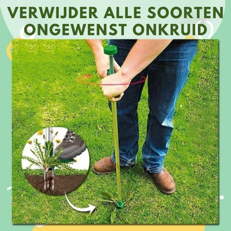 RootVanish™ – Permanenter Wurzelentferner gegen unerwünschte Pflanzen [50 % Rabatt]
