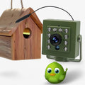 Vogelnest-Kamera HD – Live-Ansicht bei Tag und Nacht product image 1
