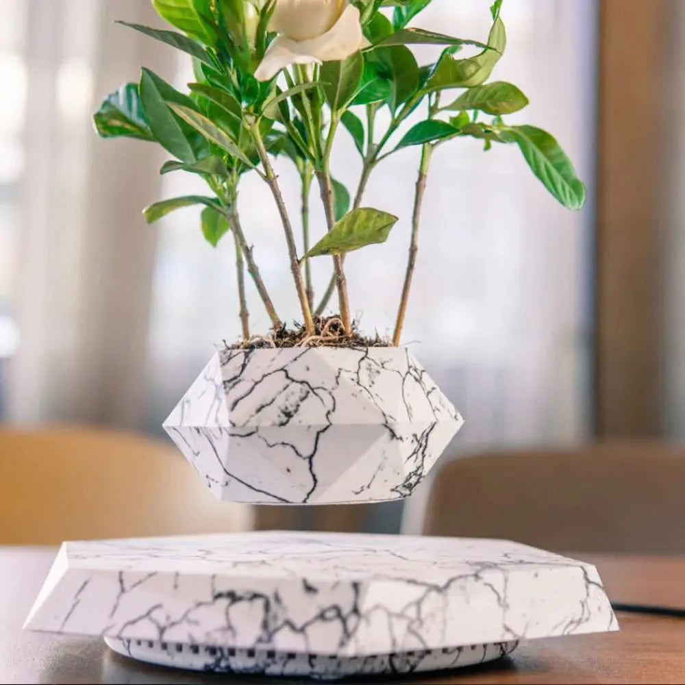 Weißer marmorierter 360° drehbarer Blumentopf mit Pflanze schwebend über Holzbasis