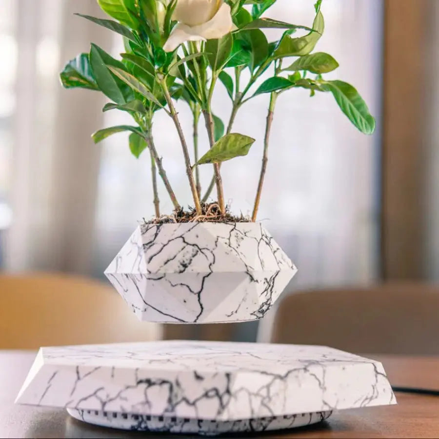 360° drehbarer Blumentopf Marmoroptik mit grüner Zimmerpflanze über magnetischer Basis