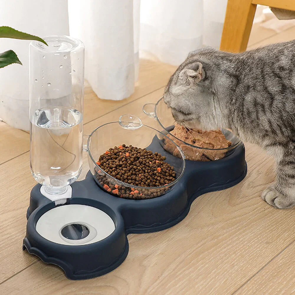 Graue Katze frisst aus 3-in-1 Futternapf-Set mit automatischem Wasserspender