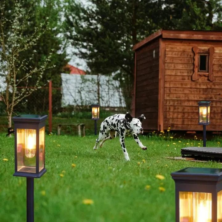 SolarGarden™ – Warmweißes Licht für Wege, Beete & stimmungsvolle Gartenmomente [1 + 1 Gratis]