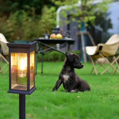 SolarGarden™ – Warmweißes Licht für Wege, Beete & stimmungsvolle Gartenmomente [1 + 1 Gratis]