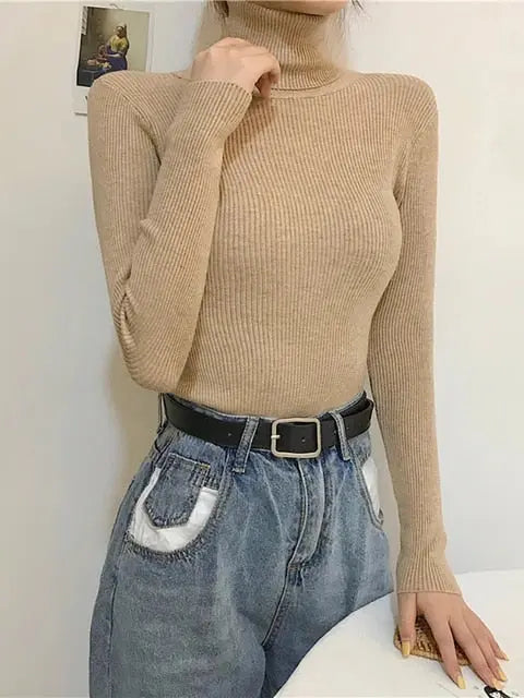 Damen Rollkragenpullover Für Frauen