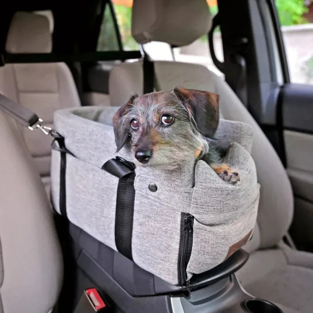 Auto-Hundesitz – Sicher & Gepolstert für Kleine Hunde bis 11 kg product image 3