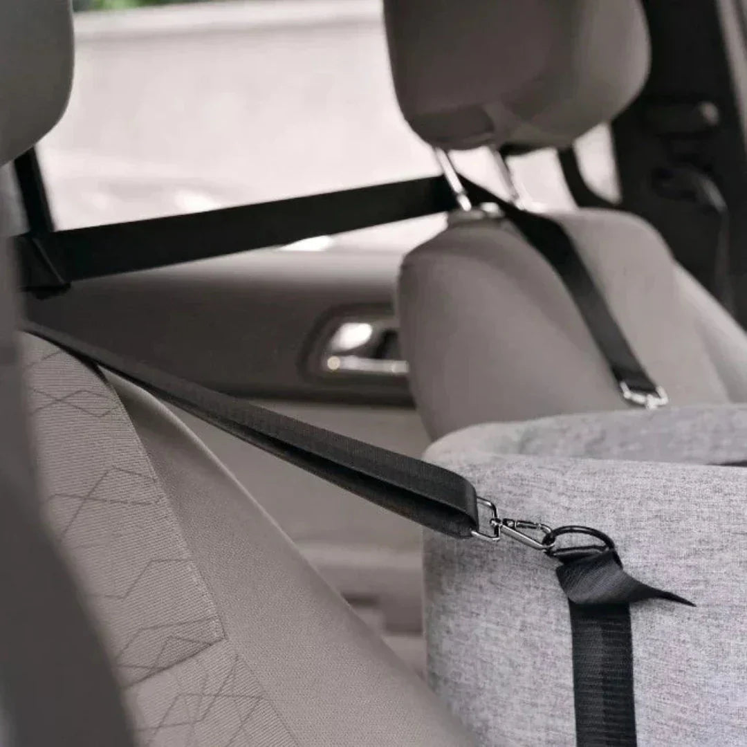 Auto-Hundesitz – Sicher & Gepolstert für Kleine Hunde bis 11 kg product image 2