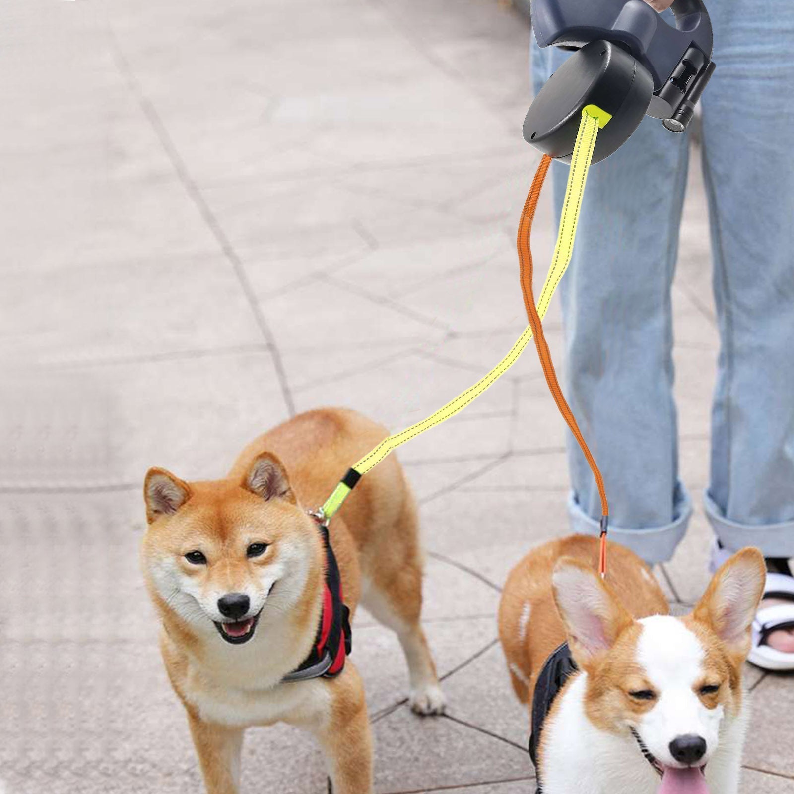 Doppelte Einzieh-Hundeleine mit LED-Taschenlampe – Zwei Hunde gleichzeitig führen product image 3
