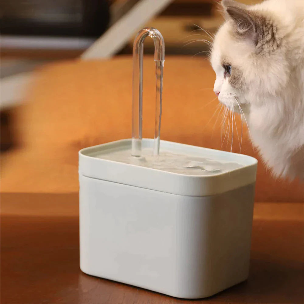 50% Rabatt | CatSpa™ Sauerstoffreicher Wasserbrunnen [Letzter Tag Rabatt]