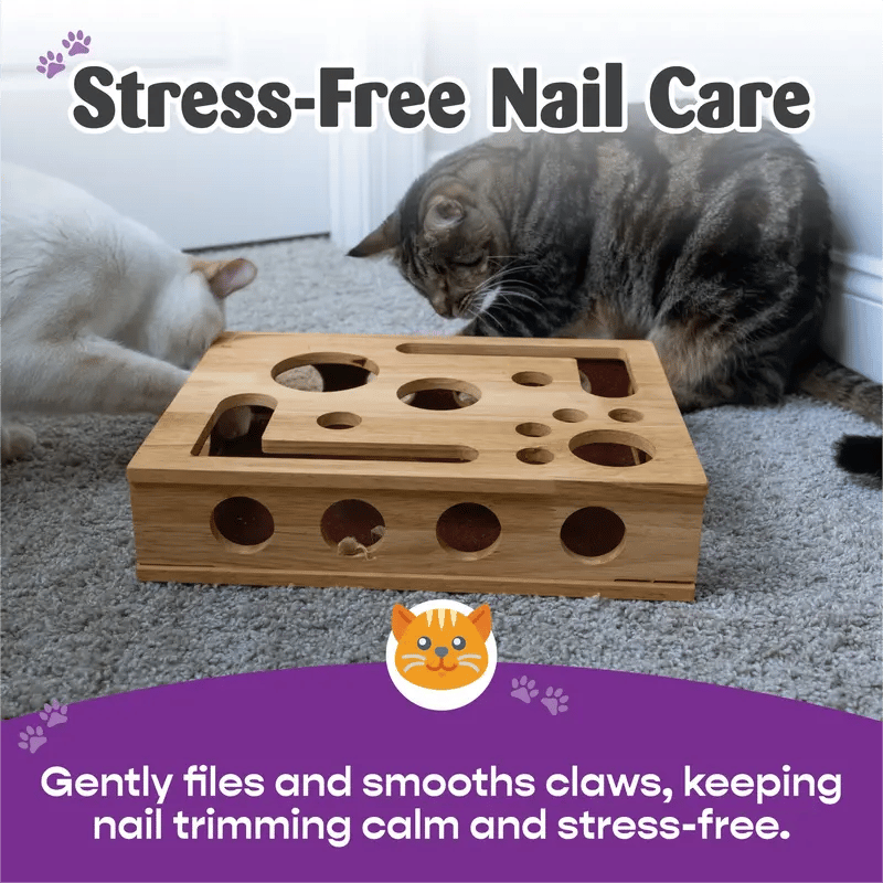 Holz-Katzen-Puzzlebox – Beschäftigung mit Leckerlies & natürlicher Krallenpflege product image 4