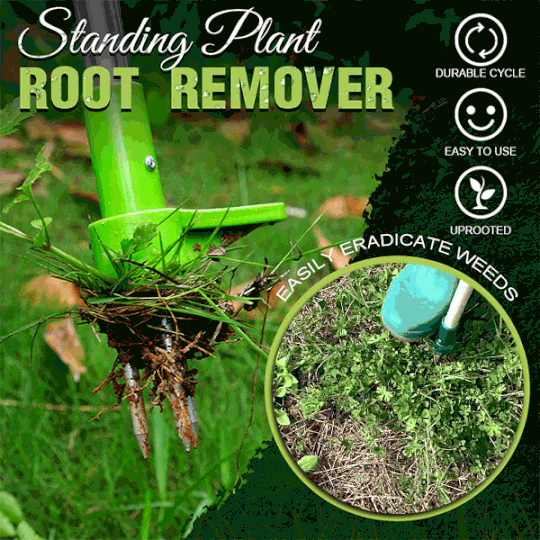 RootVanish™ – Permanenter Wurzelentferner gegen unerwünschte Pflanzen [50 % Rabatt]