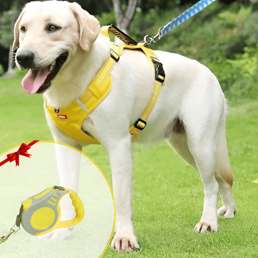 50% Rabatt | DogGrip™ - Führen Sie Ihren Hund sicher spazieren